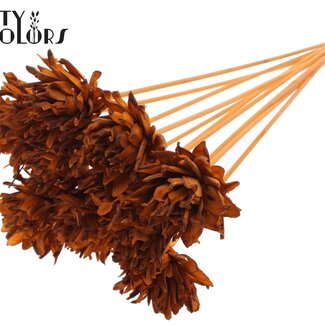 QC Shola Dennenhouten Fleur sur tige | Couleur : Terracotta | Shola Slice Pine Piquet | Diamètre de la fleur 6 centimètres | Longueur ± 50 centimètres | 10 piquets par bouquet