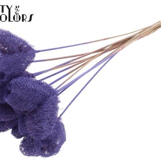QC Luffa Hart Spons op stok | Kleur: Milkapaars | Luffa Bijsteker | Lengte ± 50 centimeter | 10 bijstekers per bos