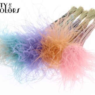QC Gedroogd Stipa Vedergras | Pastel Mix | Kleur: Gemengde Kleuren | Stypha Penata Droogbloemen | Lengte ± 60 centimeter | 10 pluimpjes per bos | Per 10 bossen