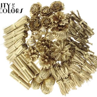 QC Bouquet Mix on stick | Colour: Gold-coloured | Length of stick-in ± 50 centimetres | 40 stick-ins per bunch | Per 10 bunches