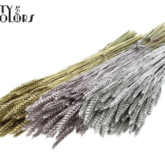 QC Dried Wheat | Wedding Mix | Colour: Mixed Colours | Triticum Dried Flowers | Length ± 60 centimetres | Weight 220 grams | Per 6 bunches