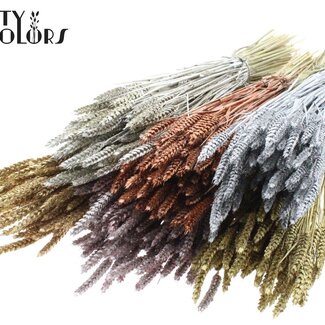 QC Blé Séché | Couleur : Couleurs Métalliques Mélangées avec Paillettes | Fleurs Séchées de Triticum | Longueur ± 60 centimètres | Poids 220 grammes | Par 6 bottes