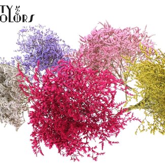 QC Gedroogde Zeelavendel | Kleur: Gemengde Kleuren | Limonium Tataricum Droogbloemen | Lengte ± 30 cm | Gewicht 45 gram | Per 10 bossen