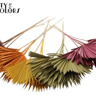 QC Palm Sun Spear séchée | Mélange de citrouille | Couleur : Couleurs mélangées | Feuilles de palmier en forme de lance | Longueur ± 50 centimètres | Par 50 branches