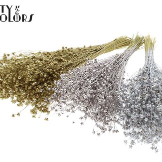 QC Gedroogd Lino Vlas | Wedding Mix | Kleur: Gemengde Kleuren | Linum Droogbloemen | Lengte ± 50 centimeter | Gewicht 150 gram | Per 6 bossen