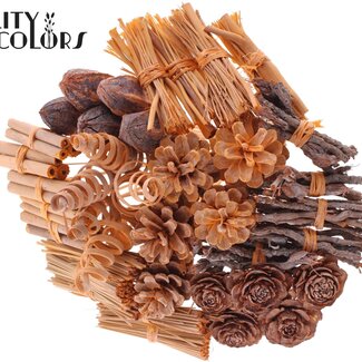 QC Bouquet Mix auf Stiel | Farbe: Frosted Lachsfarben | Länge des Steckers ± 50 Zentimeter | 40 Stecker pro Bund | Pro Bund