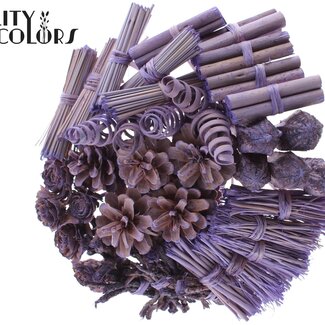 QC Boeket Mix op stok | Kleur: Frosted Milkapaars | Lengte bijsteker ± 50 centimeter | 40 bijstekers per bos | Per bos