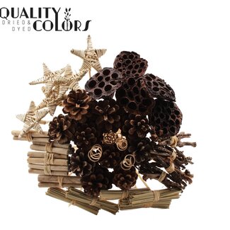 QC Bouquet Mix sur tige | Couleur : Brun Naturel | Longueur de la tige ± 50 centimètres | 40 tiges par bouquet | Par 10 bouquets