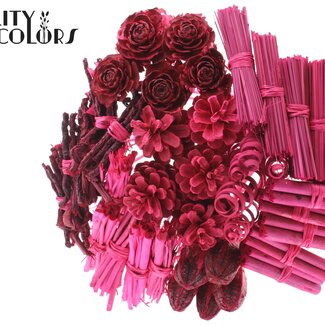 QC Bouquet Mix sur tige | Couleur : Cerise | Longueur de la tige ± 50 centimètres | 40 tiges par bouquet | Par bouquet