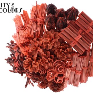 QC Bouquet Mix on a stick | Colour: Coral | Length of stick-in ± 50 centimetres | 40 stick-ins per bunch | Per bunch