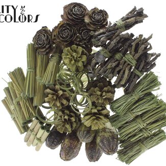 QC Bouquet Mix sur tige | Couleur : Vert olive | Longueur de la tige ± 50 centimètres | 40 tiges par bouquet | Par bouquet