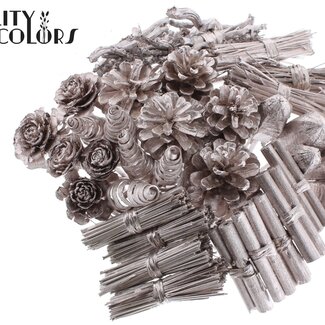 QC Bouquet Mix sur tige | Couleur : Champagne | Longueur du pique-fleur ± 50 centimètres | 40 piques-fleurs par bouquet | Par bouquet