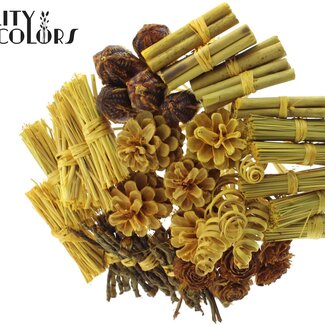 QC Bouquet Mix sur tige | Couleur : Jaune | Longueur du piquet ± 50 centimètres | 40 piquets par bouquet | Par bouquet