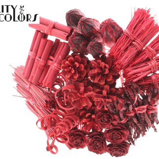 QC Boeket Mix op stok | Kleur: Rood | Lengte bijsteker ± 50 centimeter | 40 bijstekers per bos | Per bos