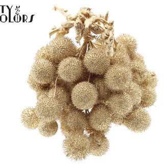 QC Small Ball on Stick | Colour: Antique Gold | Small Ball Stick-in | 10 sticks per bunch | Per 5 bunches