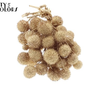 QC Petite Balle sur bâton | Couleur : Doré Antique avec Paillettes | Petite Balle Pique-fleurs | 10 piques par bouquet | Par 5 bouquets