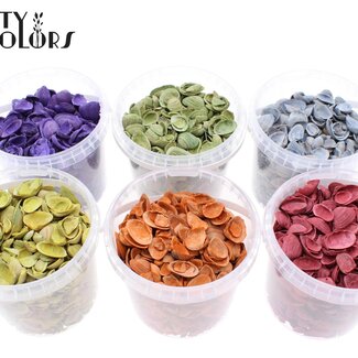 QC North Sea Shells in a reusable bucket | Colour: Mixed Colours | Bucket content 1 litre | Per 6 buckets