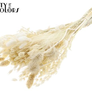 QC Rond Boeket Droogbloemen “Frost” | Kleur: Wit | Grootte: Large | Lengte ± 70 centimeter | Per 5 boeketten