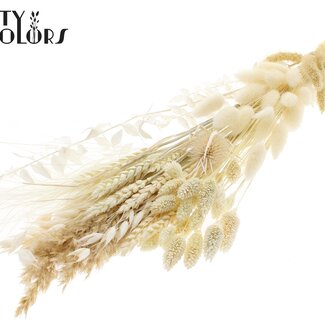 QC Plat Boeket Droogbloemen “Frost” | Kleur: Wit | Grootte: Small | Lengte ± 50 centimeter | Per 8 boeketten