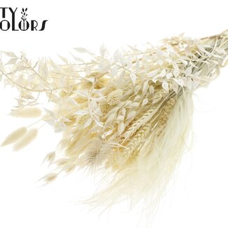 QC Rundes Trockenblumen-Bouquet „Frost“ | Farbe: Weiß | Größe: Medium | Länge ± 60 Zentimeter | Pro 5 Bouquets