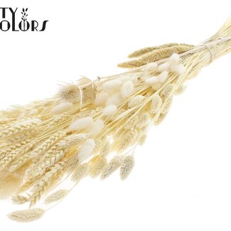 QC Bouquet Plat de Fleurs Séchées “Frost” | Couleur : Blanc | Taille : Large | Longueur ± 70 centimètres | Par 5 bouquets