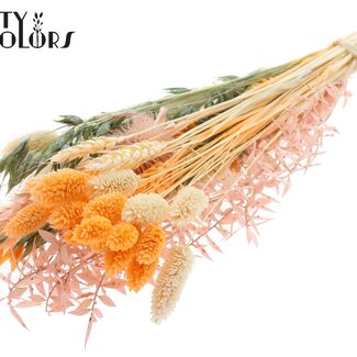 QC Round Bouquet of Dried Flowers “Blush” | Colour: Apricot | Size: Small | Length ± 50 centimetres | Per 8 bouquets