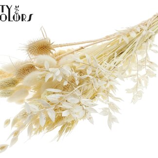 QC Rond Boeket Droogbloemen “Frost” | Kleur: Wit | Grootte: Small | Lengte ± 50 centimeter | Per 8 boeketten