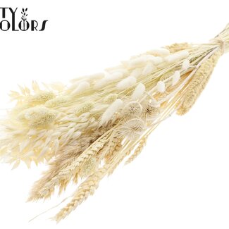 QC Plat Boeket Droogbloemen “Frost” | Kleur: Wit | Grootte: Medium | Lengte ± 60 centimeter | Per 5 boeketten