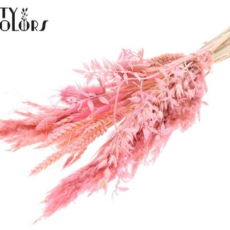 QC Flaches Trockenblumen-Bouquet „Blossom“ | Farbe: Rosa | Größe: Mittel | Länge ± 60 Zentimeter | Pro 5 Bouquets