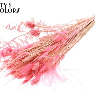 QC Bouquet Rond de Fleurs Séchées “Blossom” | Couleur : Rose | Taille : Large | Longueur ± 70 centimètres | Par 5 bouquets