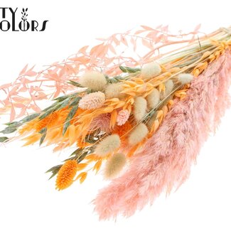 QC Bouquet Plat de Fleurs Séchées “Blush” | Couleur : Abricot | Taille : Petit | Longueur ± 50 centimètres | Par 8 bouquets