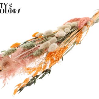 QC Bouquet Plat de Fleurs Séchées “Blush” | Couleur : Abricot | Taille : Moyenne | Longueur ± 60 centimètres | Par 5 bouquets