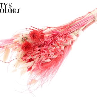 QC Round Dried Flower Bouquet “Ruby” | Colour: Red | Size: Medium | Length ± 60 centimetres | Per 5 bouquets