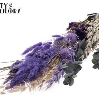 QC Flat Bouquet Dried Flowers “Velvet” | Colour: Milka Purple | Size: Large | Length ± 70 centimetres | Per bouquet