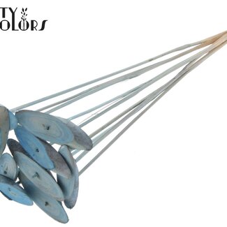 QC Disque en bois ovale sur tige | Couleur : Bleu clair givré | Disque en bois à piquer | Diamètre 5 - 7 centimètres | Longueur ± 50 centimètres | 10 piques par bouquet