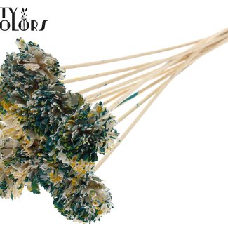QC Shola Houten Karnish Fleur sur tige | Couleur : Multicolore Vert Jaune | Shola Karnish Fleur Pique | Diamètre fleur 6 centimètres | Longueur pique ± 50 centimètres | 10 piques par bouquet