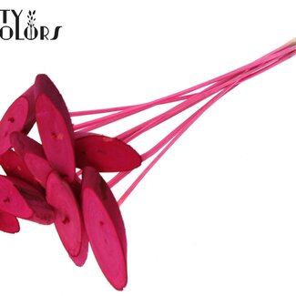 QC Oval Wooden Disc on Stick | Colour: Cherry-Coloured | Wooden Disc Insert | Diameter 5 - 7 centimetres | Length ± 50 centimetres | 10 inserts per bunch