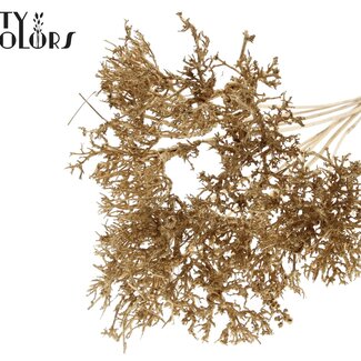 QC Dry Tree sur tige | Couleur : Doré antique | Bouquet de piques | Longueur de la pique ± 50 centimètres | 10 piques par bouquet