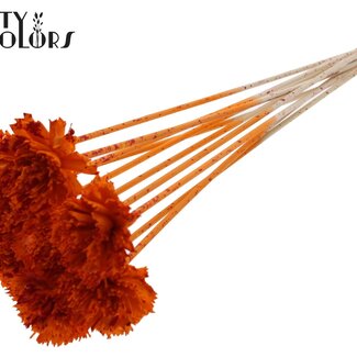QC Shola Houten Karnish Blume auf Stiel | Farbe: Gesprenkeltes Orange Rot | Shola Karnish Blume Einstecker | Durchmesser Blume 6 Zentimeter | Länge Einstecker ± 50 Zentimeter | 10 Einstecker pro Bund