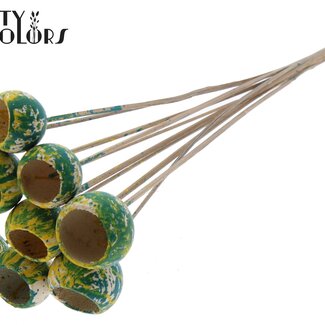 QC Dried Bellgums | Colour: Multicoloured Green Yellow | Bell Cup Pick | Length ± 50 centimetres | 10 picks per bunch