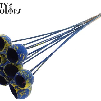 QC Gedroogde Bellgums | Kleur: Gespetterd Blauw Geel | Bell Cup Bijsteker | Lengte ± 50 centimeter | 10 bijstekers per bos