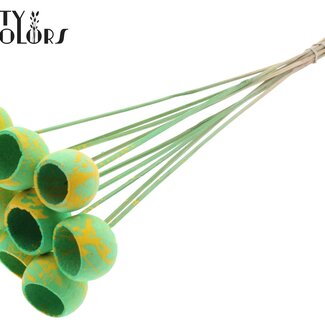 QC Dried Bellgums | Colour: Speckled Mint Green Yellow | Bell Cup Pick | Length ± 50 centimetres | 10 picks per bunch
