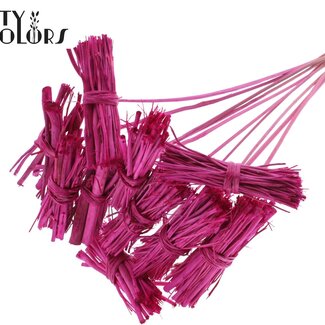 QC Lady Bouquet sur tige | Couleur : Lilas | Lady Posy Piquet | Longueur ± 50 centimètres | 10 piquets par bouquet