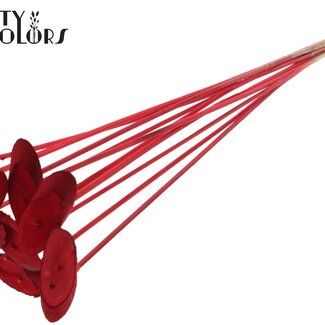 QC Rondelle de Bois Ovale sur Tige | Couleur : Rouge | Rondelle de Bois Décorative | Diamètre 5 - 7 centimètres | Longueur ± 50 centimètres | 10 décorations par bouquet