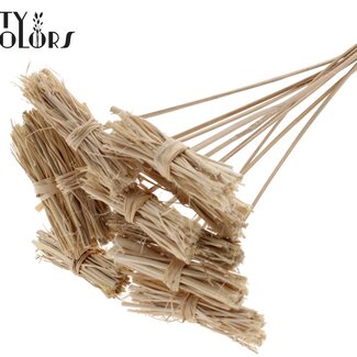 QC Lady Bouquet sur tige | Couleur : Brun Naturel | Lady Posy Piquet | Longueur ± 50 centimètres | 10 piquets par bouquet