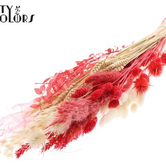 QC Flat Bouquet Dried Flowers “Ruby” | Colour: Red | Size: Large | Length ± 70 centimetres | Per 5 bouquets