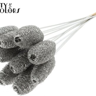 QC Mini Loofah Sponge on stick | Colour: Platinum-coloured | Loofah Plant Stick | Length ± 50 centimetres | 10 plant sticks per bunch