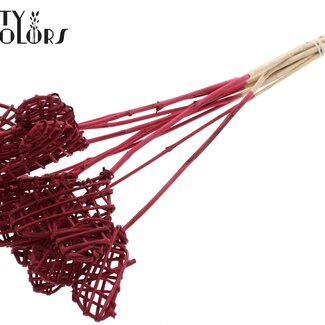 QC Cœur de rotin Lata sur bâton | Couleur : Bordeaux | Pique-plat Lata Heart | Longueur ± 50 centimètres | 10 piques par bouquet