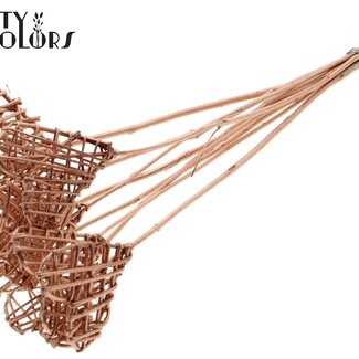 QC Rattan Lata Heart on stick | Colour: Copper-coloured | Lata Heart flat Plant Stake | Length ± 50 centimetres | 10 stakes per bunch