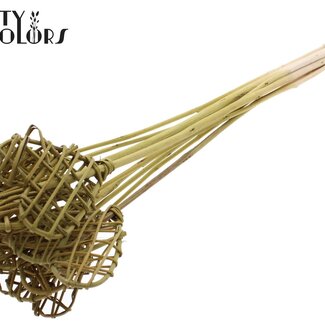 QC Rattan Lata Herz auf Stab | Farbe: Olivgrün | Lata Herz flacher Stecker | Länge ± 50 Zentimeter | 10 Stecker pro Bund